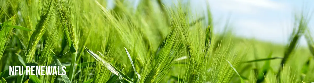 NFU Renewals